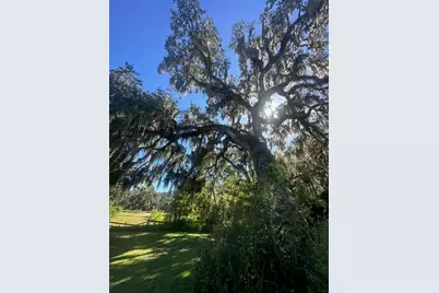 384 W Ariel Road, Edgewater, FL 32141 - Photo 16