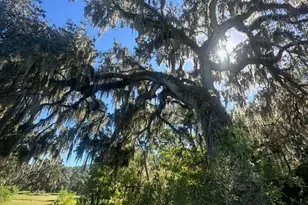 384 W Ariel Rd, Edgewater, FL 32141 - Photo 16