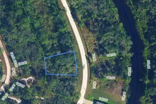 1108 Greenfield St, Lake Placid, FL 33852 - Photo 1