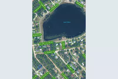 2339 N Thomsen Road, Avon Park, FL 33825 - Photo 2