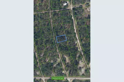 213 Sunflower Drive, Lake Placid, FL 33852 - Photo 1
