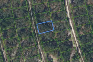 213 Sun Flower Dr, Lake Placid, FL 33852 - Photo 1