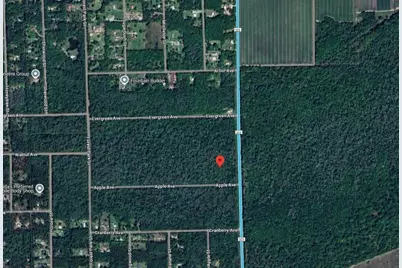 3540 Apple Avenue, Bunnell, FL 32110 - Photo 2