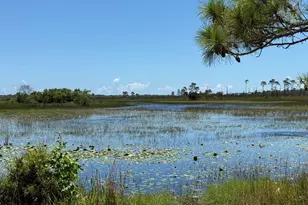 1597 SE Berkshire Blvd, Port Saint Lucie, FL 34952 - Photo 36