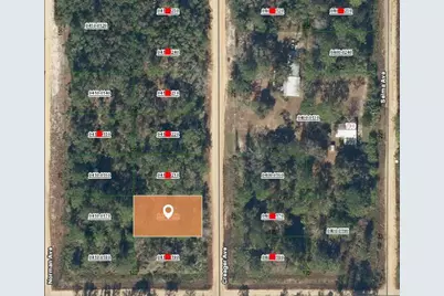 001 Creager, Interlachen, FL 32148 - Photo 2