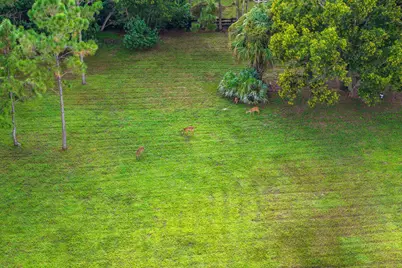11356 Ira Lane, Lake Worth, FL 33449 - Photo 30