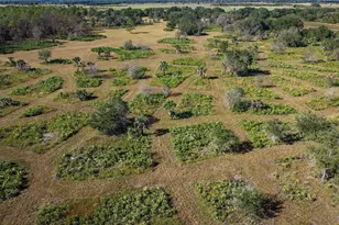32801 US Highway 441 N, Okeechobee, FL 34972 - Photo 58