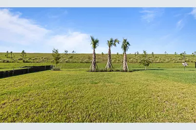3849 Passion Vine Drive, Alva, FL 33920 - Photo 28