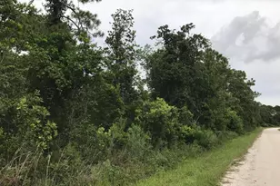 1126 Greenfield St, Lake Placid, FL 33852 - Photo 1
