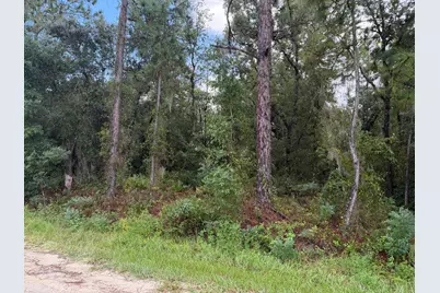 0 No Situs, Dunnellon, FL 34432 - Photo 8