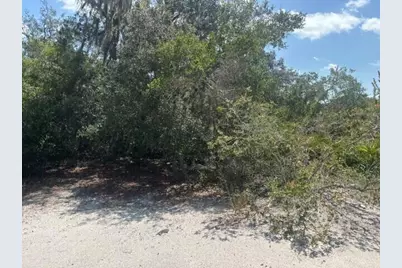 0 Holopaw Groves Road, Saint Cloud, FL 34772 - Photo 2