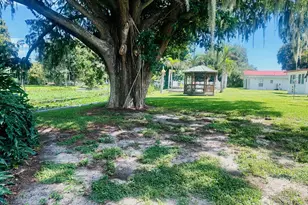 3113 SE 29th Ln, Okeechobee, FL 34974 - Photo 6