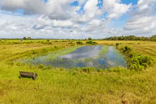 1455 NW 160th St, Okeechobee, FL 34972 - Photo 12