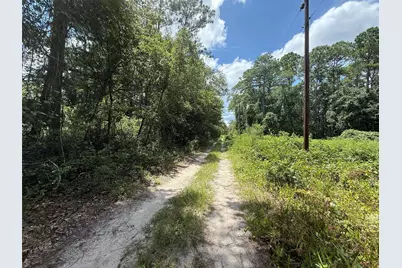 313 Calhoun Avenue, Florahome, FL 32140 - Photo 6
