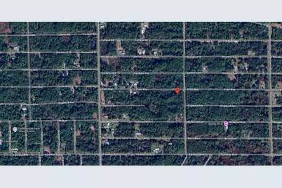 337 Palm Way, Georgetown, FL 32139 - Photo 8