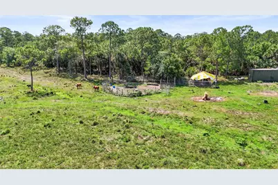 2777 Everhigh Acres Road, Clewiston, FL 33440 - Photo 14