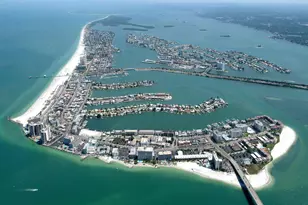 2348 Shelley St, Clearwater, FL 33765 - Photo 12