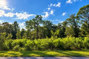 N/A SW Winding Hills Rd, Dunnellon, FL 34431 - Photo 1