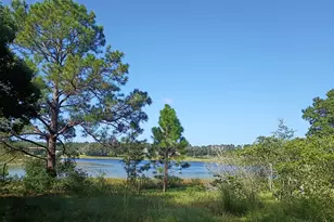 17230 SE Hwy 42, Weirsdale, FL 32195 - Photo 1