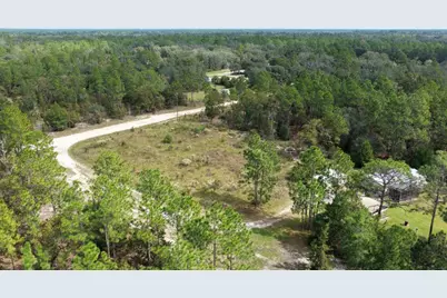 109 Buckles Road, Interlachen, FL 32148 - Photo 6