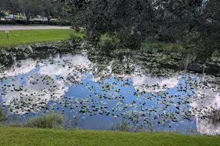 280 Crestwood Cir, Royal Palm Beach, FL 33411 - Photo 4