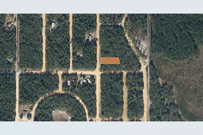Tbd Creager, Interlachen, FL 32148 - Photo 1