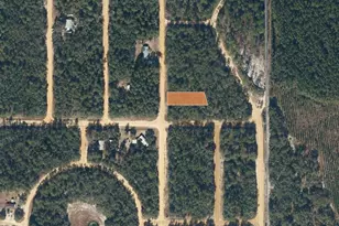 Tbd Creager, Interlachen, FL 32148 - Photo 1
