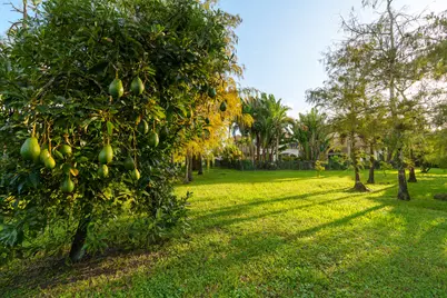 14623 Halter Road, Wellington, FL 33414 - Photo 8