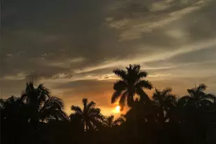 2611 SW 120th Terrace, Miramar, FL 33025 - Photo 12