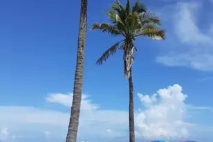 1439 S Ocean Blvd, Pompano Beach, FL 33062 - Photo 18