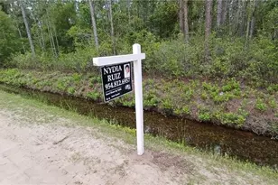 10695 Erickson Ave, Hastings, FL 32145 - Photo 1