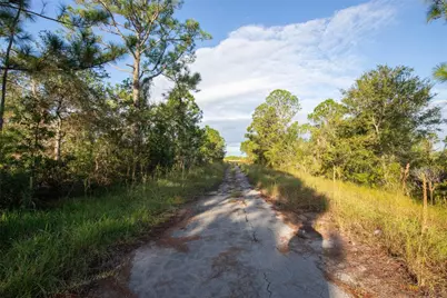 754 American Street, Lake Placid, FL 33852 - Photo 6