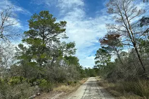 4508 Briarcliff Ave, Sebring, FL 33875 - Photo 1