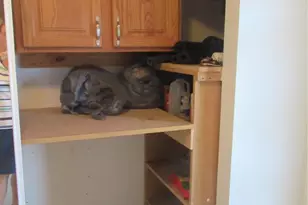 601 NW 76th Terrace, Margate, FL 33063 - Photo 24