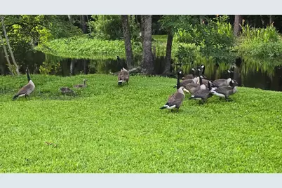 310 Woodland Drive, Jacksonville, NC  - Photo 8