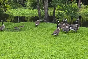 310 Woodland Dr, Jacksonville, NC - Photo 8