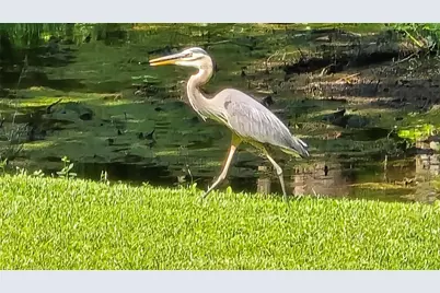 310 Woodland Drive, Jacksonville, NC  - Photo 10