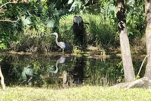 310 Woodland Dr, Jacksonville, NC - Photo 14