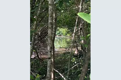 78 Otter Avenue, Ochopee, FL  - Photo 2