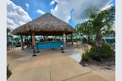 8143 Coconut Place, Kissimmee, FL 34747 - Photo 60