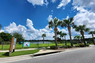 8143 Coconut Pl, Kissimmee, FL 34747 - Photo 48