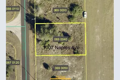 1007 Naples Avenue, Lehigh Acres, FL 33974 - Photo 2