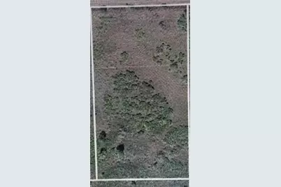 17128 NW 314th Street, Okeechobee, FL 34972 - Photo 2