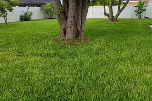 137 SE Santa Barbara Pl, Cape Coral, FL 33990 - Photo 14