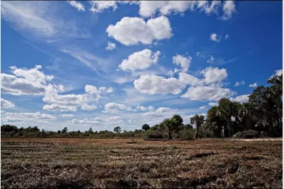17120 NW 306th Street, Okeechobee, FL 34972 - Photo 4
