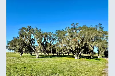 14151 E Center Street, Okeechobee, FL 34974 - Photo 28