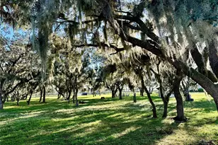 14151 E Center St, Okeechobee, FL 34974 - Photo 30