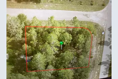 6689 N Bedstrow Boulevard, Citrus Springs, FL 34434 - Photo 2