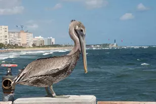 801 N Riverside Dr, Pompano Beach, FL 33062 - Photo 26