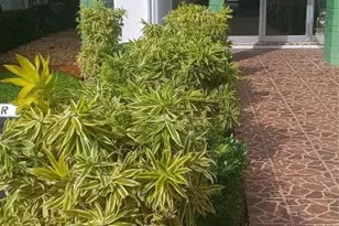 2271 NW 48th Terrace, Lauderhill, FL 33313 - Photo 1